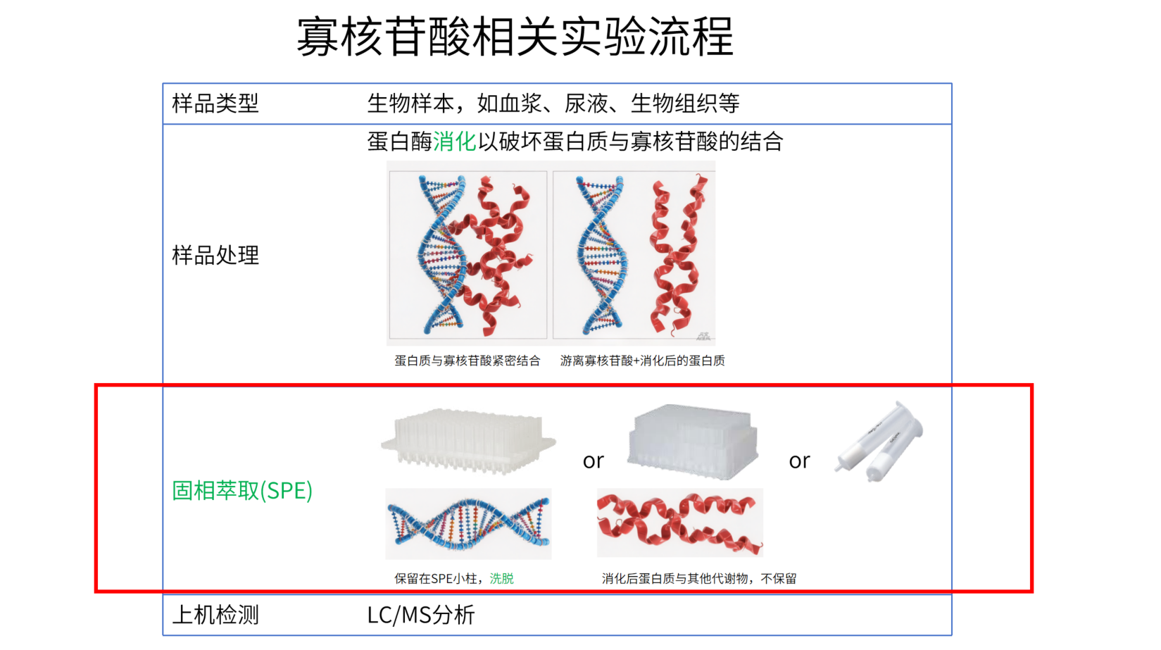 1773811093977418.png 寡核苷酸实验流程.png